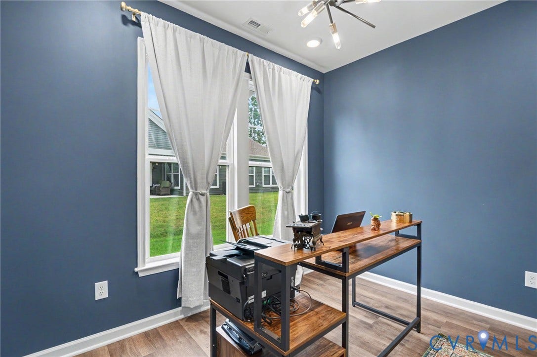 11618 Orchard Falls Circle, Chickahominy Falls, Glen Allen, VA 23059 Expansive window with bright natural light, wood-finish flooring, and a modern ceiling fixture