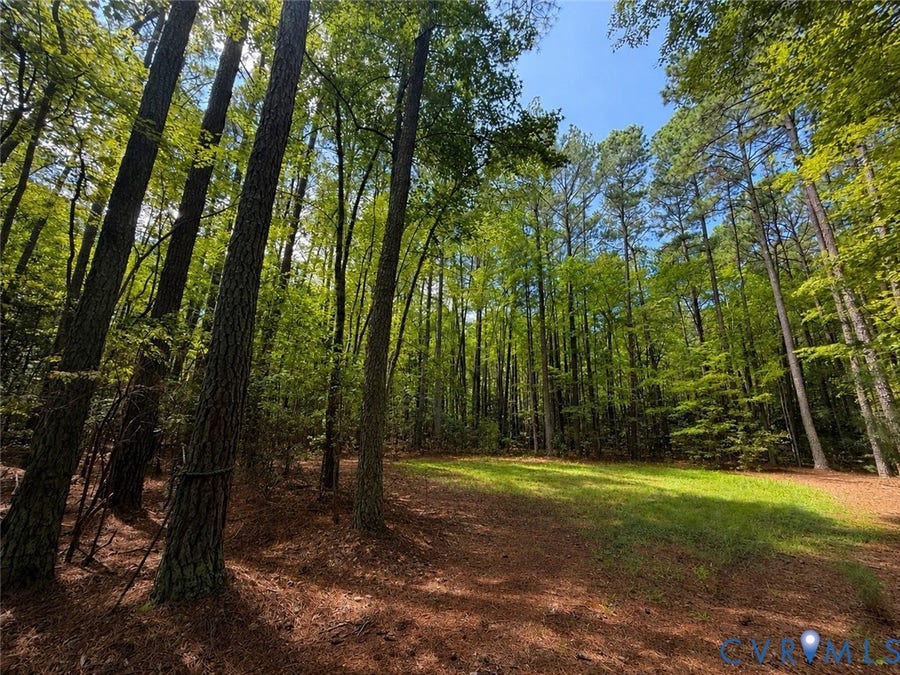 Property photo for 0 Robinson Lane, Topping, VA