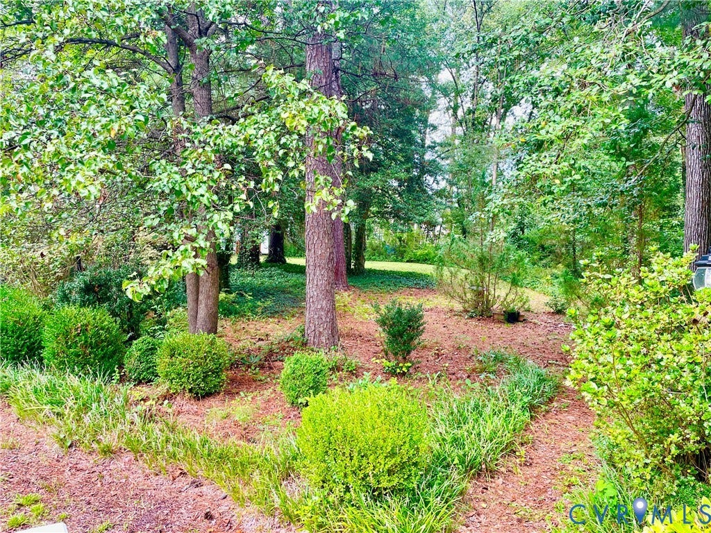 8208 Michael Road, Henrico, VA 23229 Over 1 acre! Expansive natural landscaping featuring mature trees, manicured shrubs, and varied ground cover
