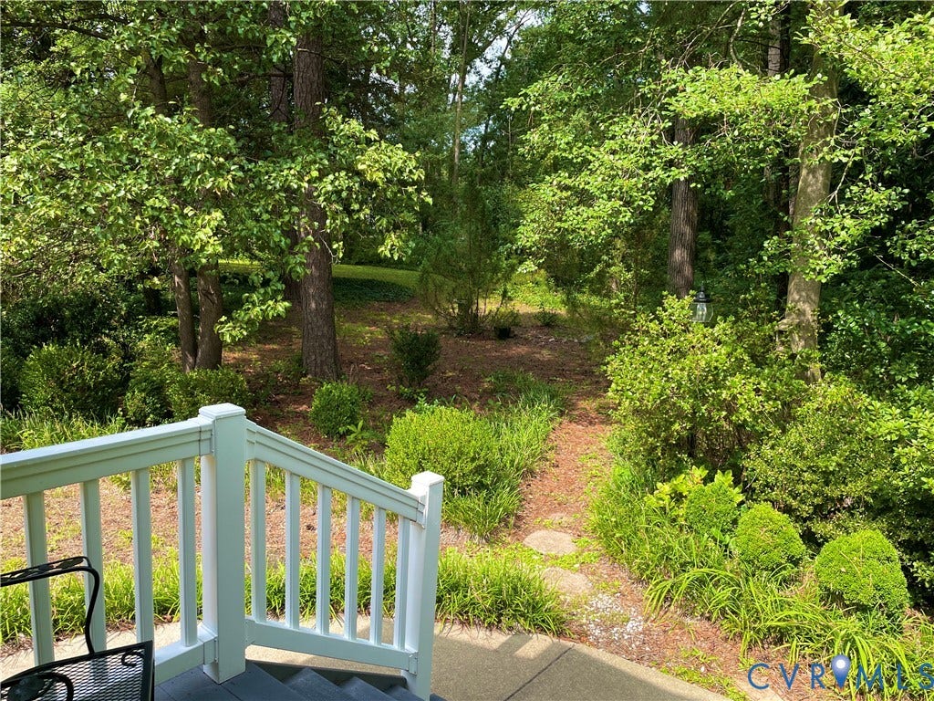 8208 Michael Road, Henrico, VA 23229 Wooded backyard with mature trees and established plantings
