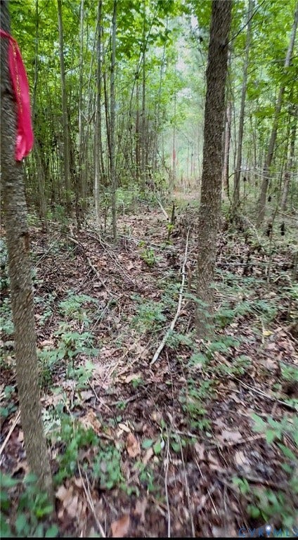 TBD Broad St Road, Maidens/Oilville Area, Maidens, VA 23102 TBD Broad St Road, Maidens/Oilville Area, Maidens, VA 23102