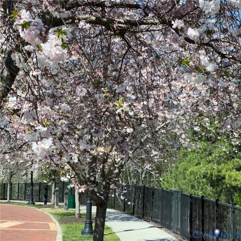 1901 Liesfeld Parkway, West Broad Village, Glen Allen, VA 23060 Flowering trees with delicate blossoms, paved walking path, brick-patterned walkway, black metal fencing, manicured grassy areas