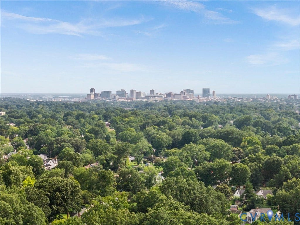 709 Ratcliffe Avenue, Richmond, VA 23222 Expansive aerial perspective showcasing a verdant landscape with a distant city skyline