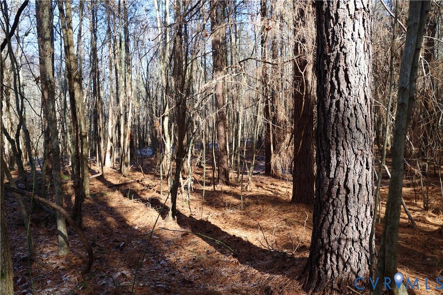 Property photo for 0 Beaver Acres Lane, Buffalo Junction, VA