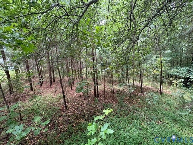 421 E Hundred Road, Chester/ Bermuda Area, Chester, VA 23836 Expansive wooded acreage featuring mature trees and natural ground cover