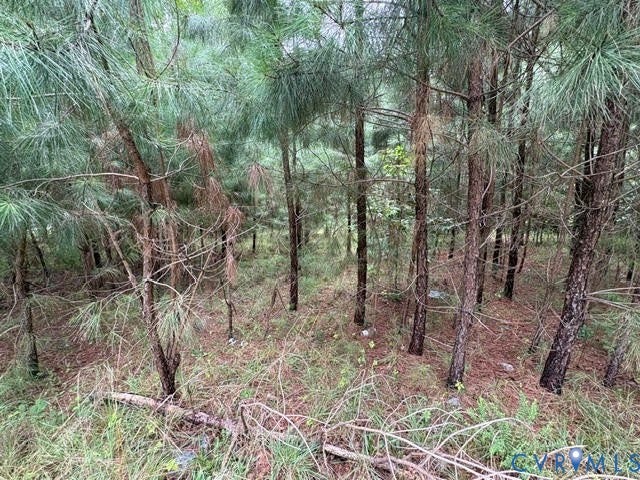 421 E Hundred Road, Chester/ Bermuda Area, Chester, VA 23836 Wooded property with mature pine trees and natural ground cover