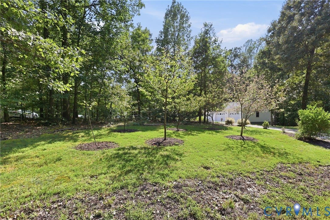 5295 Chimney Springs Drive, Saunders Acres, Goochland, VA 23063 Expansive green front lawn with mature fruit trees apple (3), cherry (2), and peach (2).