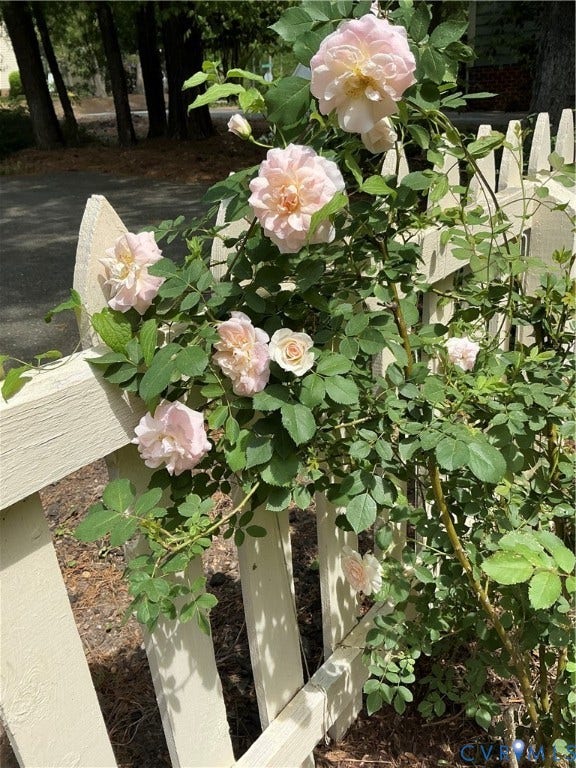 12705 Walton Ridge Lane, Midlothian, Midlothian, VA 23114 12705 Walton Ridge Lane, Midlothian, Midlothian, VA 23114