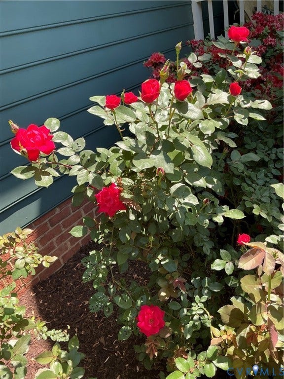 12705 Walton Ridge Lane, Midlothian, Midlothian, VA 23114 12705 Walton Ridge Lane, Midlothian, Midlothian, VA 23114