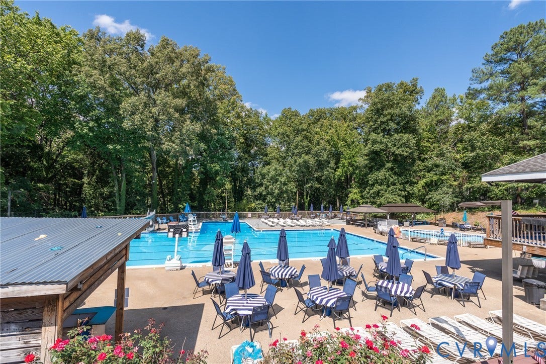 Resort-style saltwater swimming pool with multiple lap lanes and diving board, surrounded by lounge seating and mature tree canopy