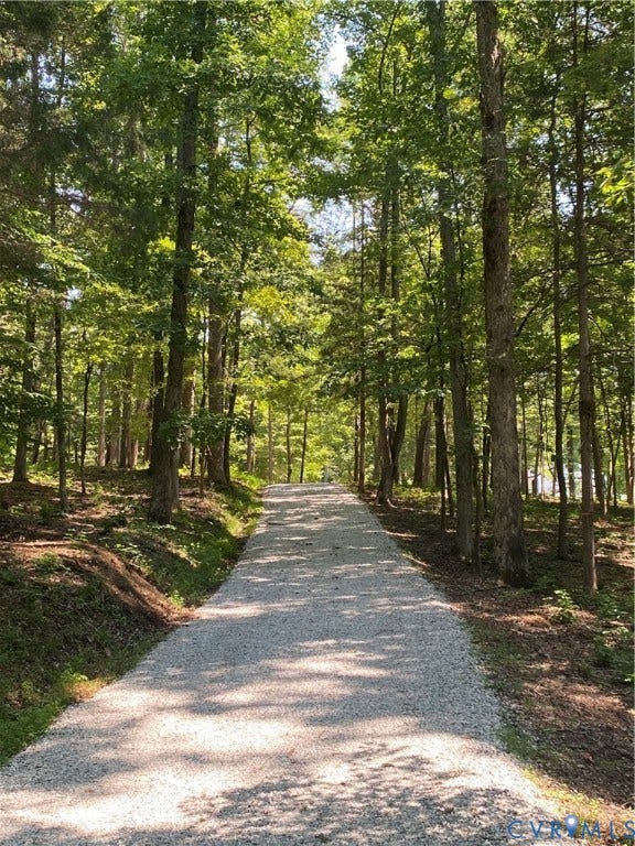 1609 Beaverdam Creek Road, Crozier, Crozier, VA 23039 Driveway