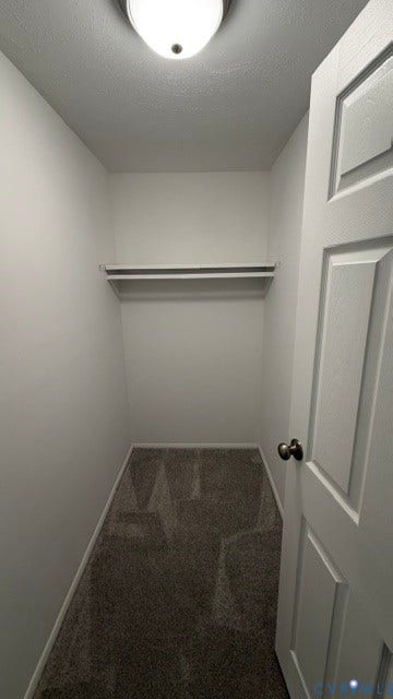 Dedicated closet space featuring a chrome hanging rod and carpeted flooring, accented by recessed ceiling lighting and clean white walls with solid-core door