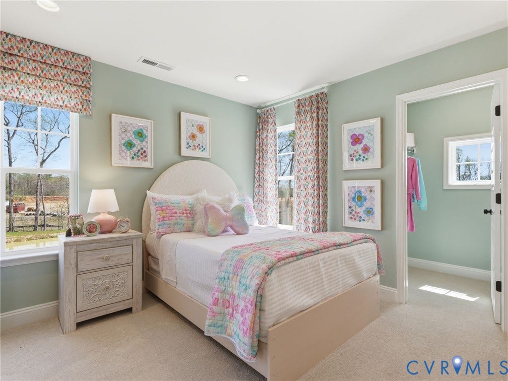 17354 Alana Drive, Moseley, VA 23120