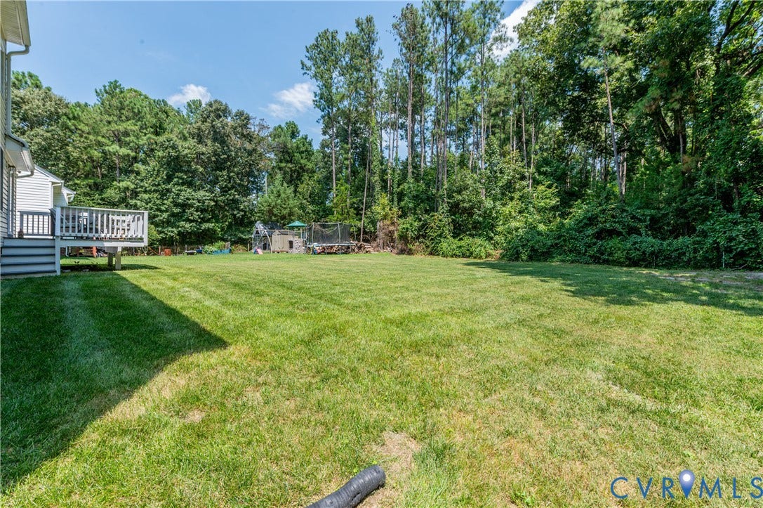 Large, flat, lush backyard.