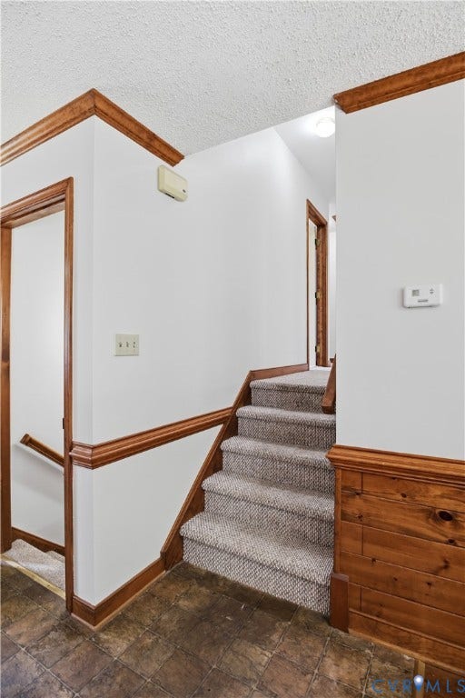 3231 Ludgate Road, Chester, VA 23831 Staircase featuring carpeted treads, wood-finish risers, and a wood-paneled wall detail