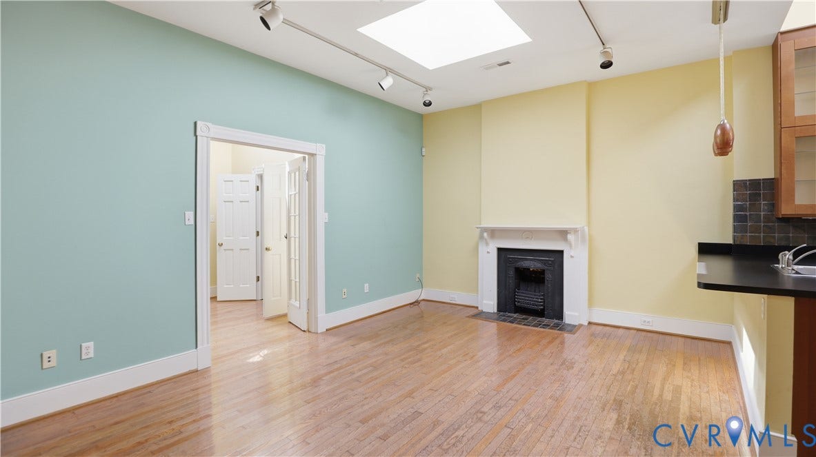 111 N 17th Street, Richmond, VA 23219 Hardwood-style flooring, a fireplace with a detailed mantel, track lighting, a skylight, and a countertop with an integrated sink