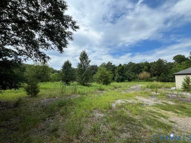 Expansive lot with partial gravel ground cover and lush, mature trees framing the perimeter
