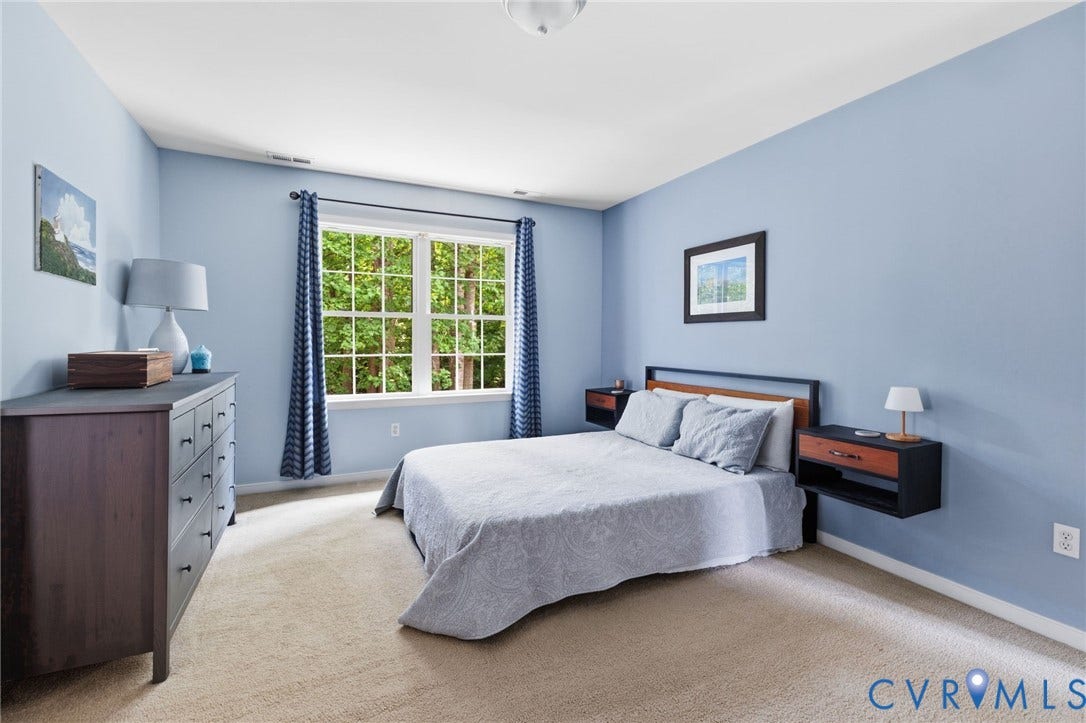 6201 Cameron Bay Terrace, Cameron Bay, Midlothian, VA 23112 Light blue wall paint, neutral carpet, and a white window frame with multiple panes