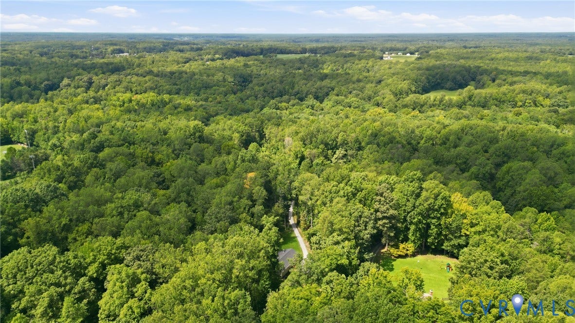 2575 Log Cabin Road, Maidens, VA 23102 Expansive wooded acreage featuring a private driveway, open lawn area, and surrounding mature trees