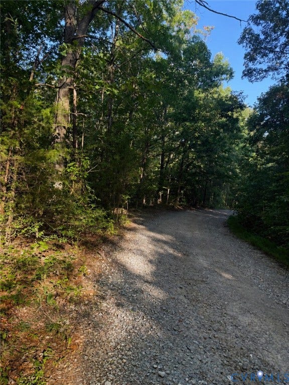 Lot 20 Foxbrook Lane, Foxbrook Forest, Louisa, VA 23093 Gravel pathway surrounded by mature trees and lush natural foliage