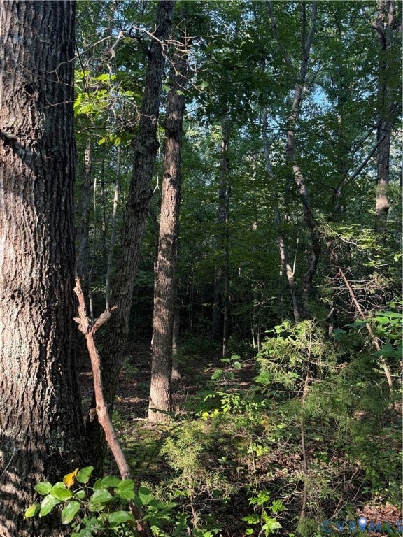Lot 20 Foxbrook Lane, Foxbrook Forest, Louisa, VA 23093 Wooded lot with mature trees and natural foliage