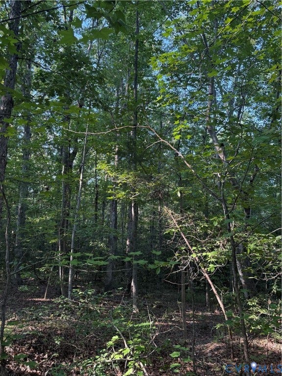 Lot 20 Foxbrook Lane, Foxbrook Forest, Louisa, VA 23093 Wooded acreage with mature trees and natural ground cover