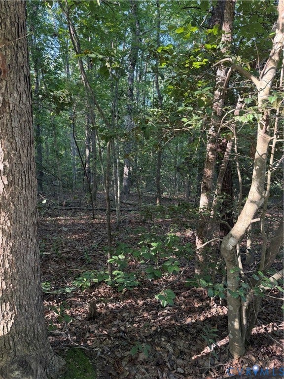 Lot 20 Foxbrook Lane, Foxbrook Forest, Louisa, VA 23093 Wooded lot with mature trees and natural ground cover