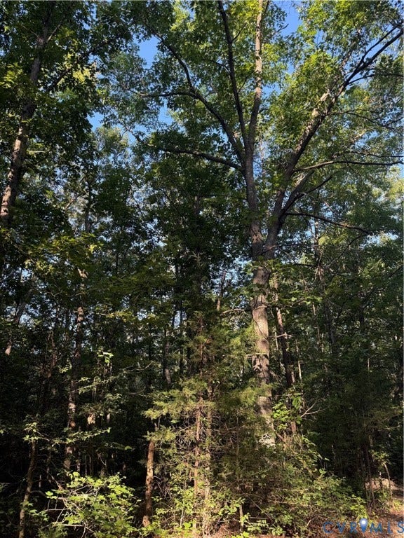 Lot 20 Foxbrook Lane, Foxbrook Forest, Louisa, VA 23093 Additional content