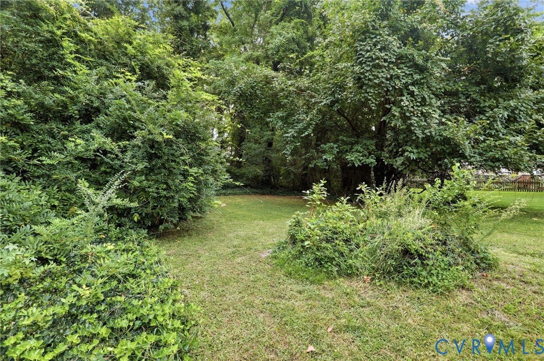 Expansive green space featuring a grass pathway, mature trees, dense foliage, and established shrubbery