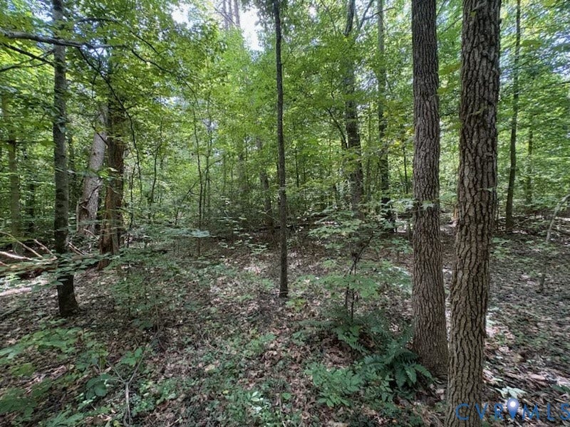 Property photo for 0 Roundabout Road, Louisa, VA