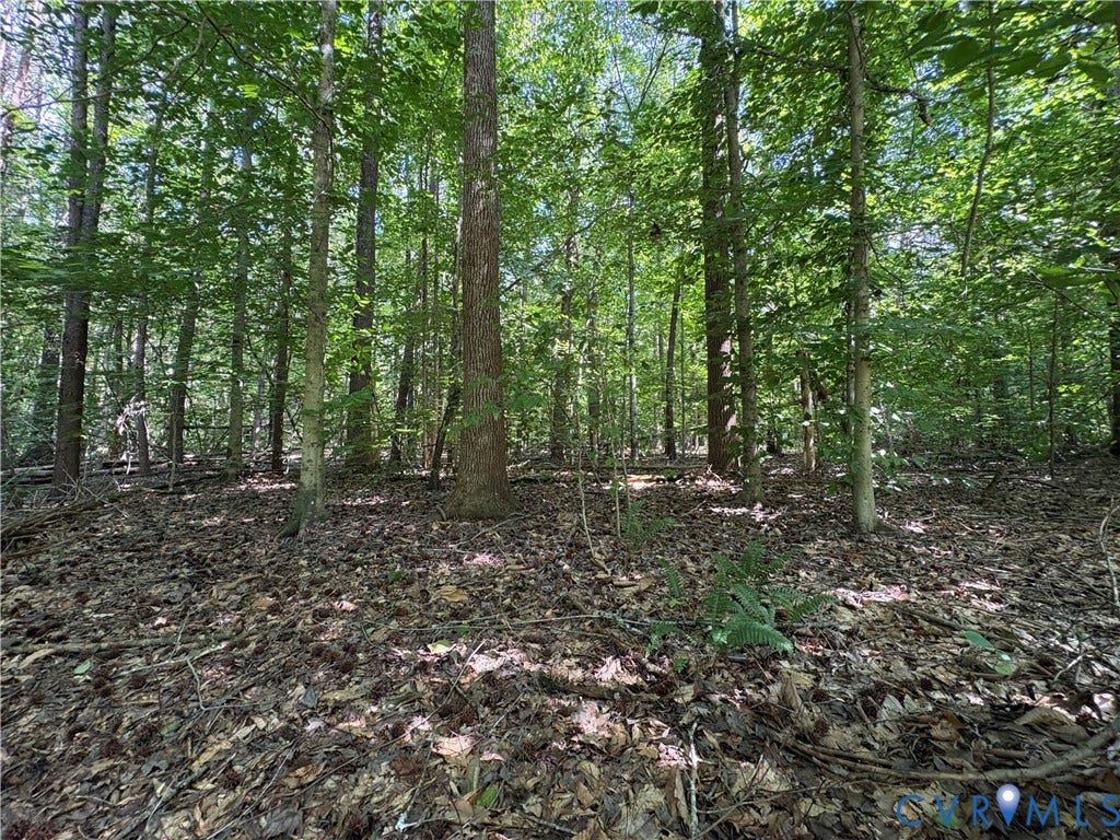 00 Roundabout Road, Louisa, VA 23093