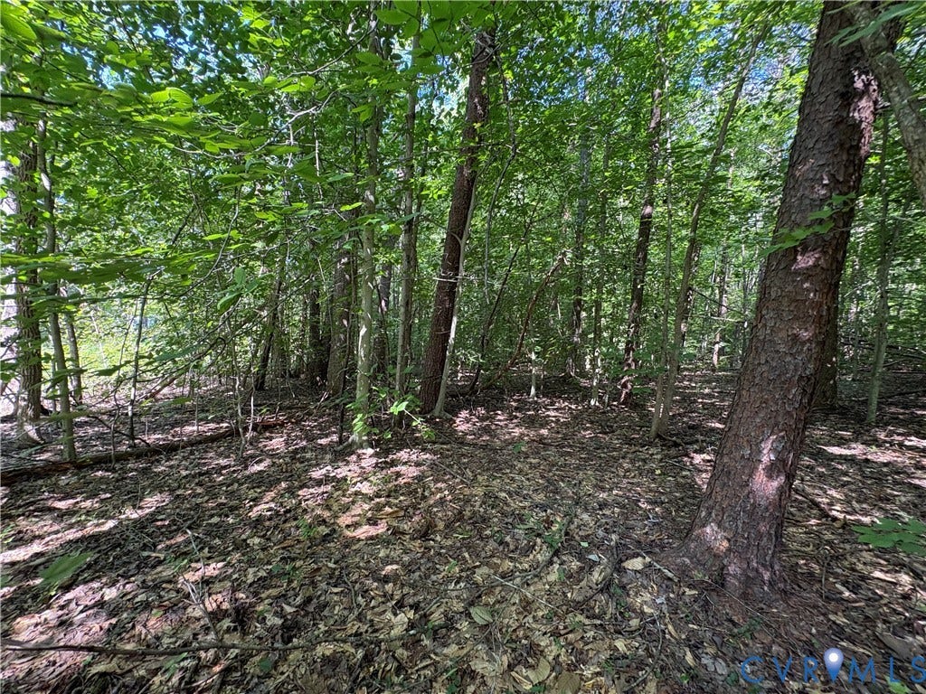 00 Roundabout Road, Louisa, VA 23093