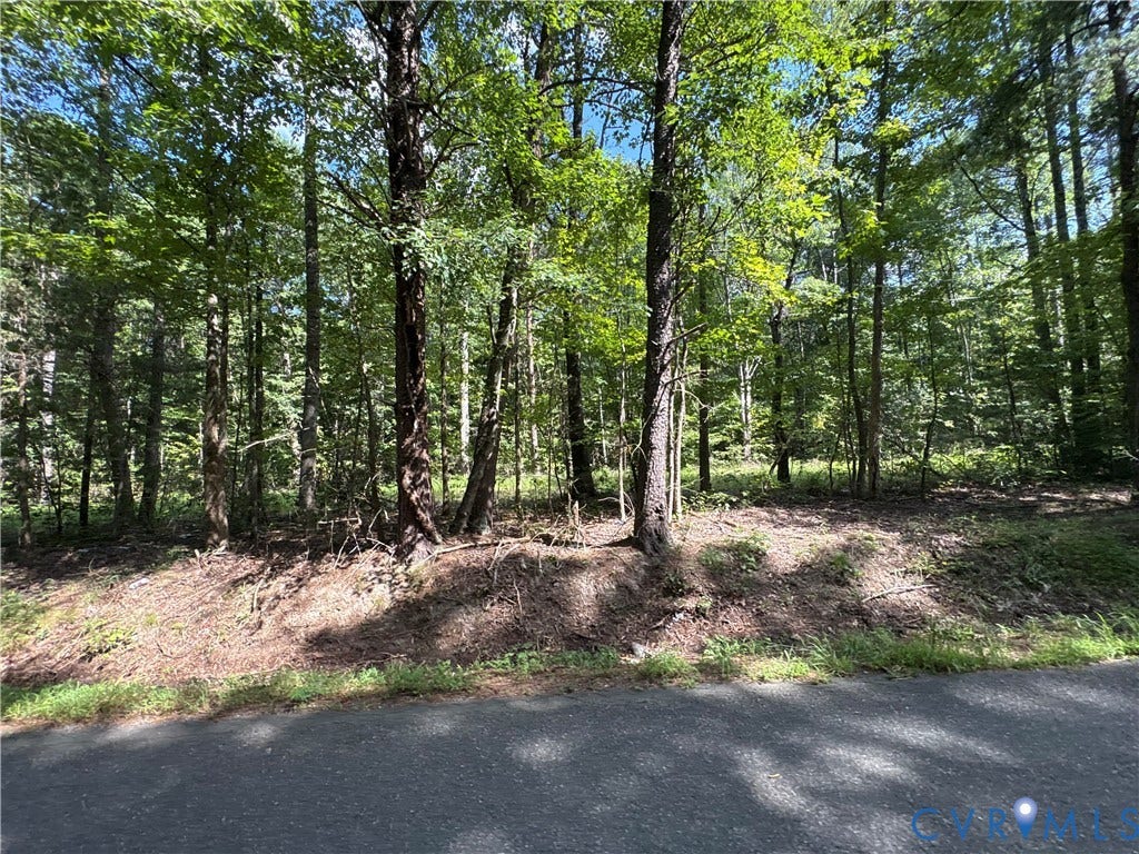 00 Roundabout Road, Louisa, VA 23093