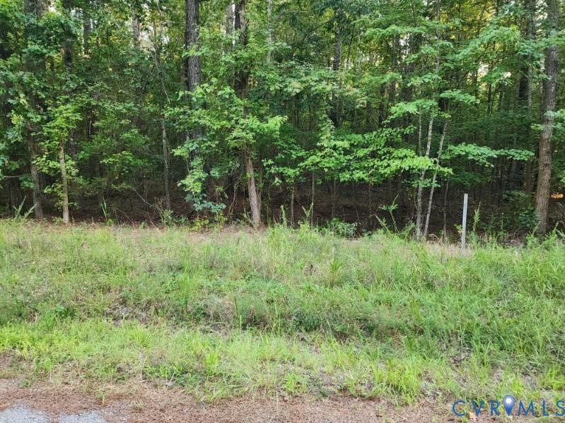Property photo for Lot 8 Loco School Rd, Sussex, VA
