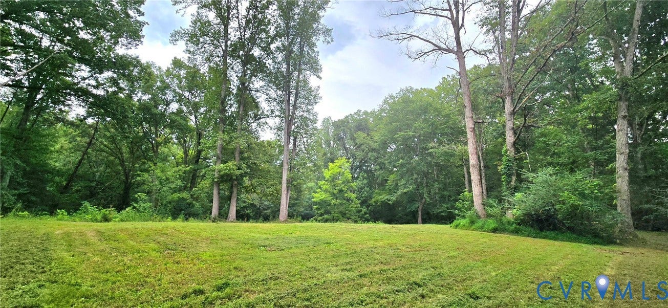 3342 Cedar Plains Road, Goochland, VA 23153 Expansive grassy area bordered by mature trees
