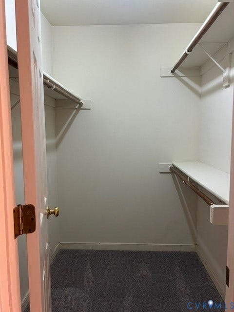 11419 Courthouse Acres Drive, Midlothian, VA 23114 White-painted interior with gray carpet flooring and two levels of shelving and hanging rods