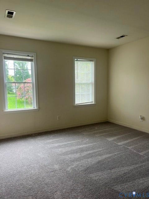 11419 Courthouse Acres Drive, Midlothian, VA 23114 Neutral wall paint, two double-hung windows, and grey patterned carpeting