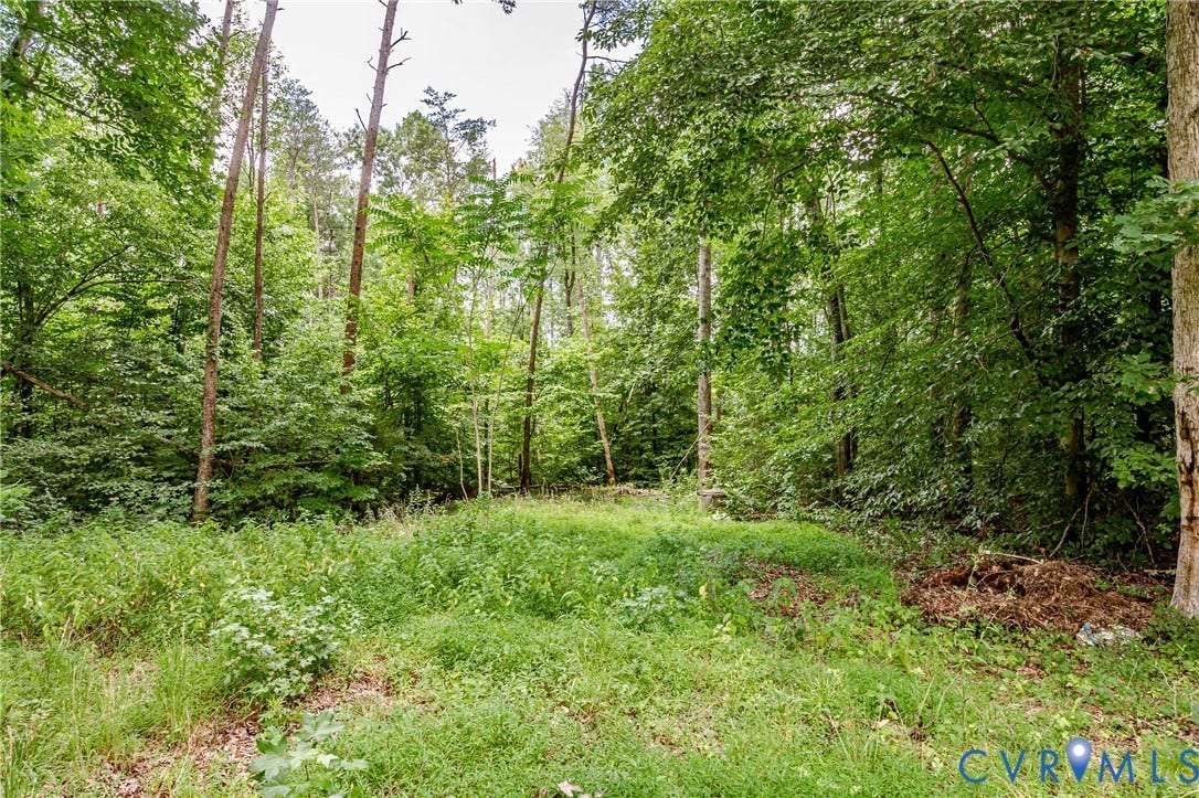 1520 Willow Brook Road, Louisa, VA 23024 Cleared grassy area surrounded by mature trees, backyard