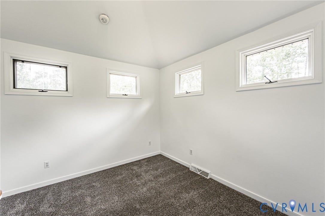 1520 Willow Brook Road, Louisa, VA 23024 White painted walls, four casement windows, grey carpet flooring, and a ceiling-mounted light fixture