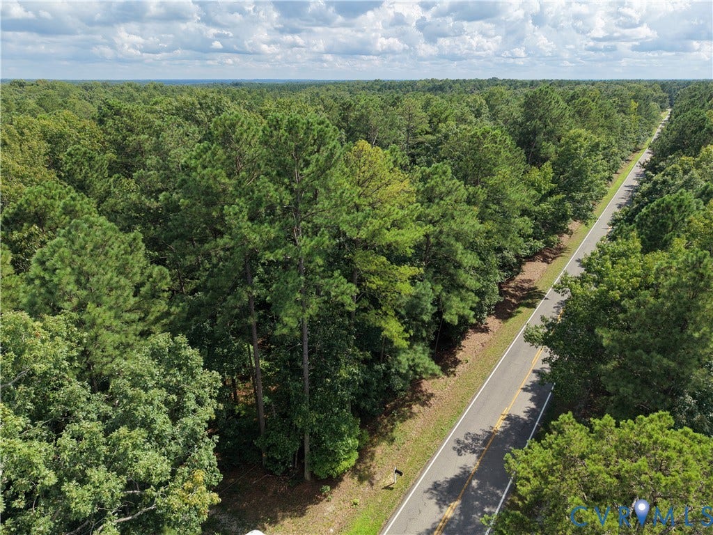 14371 N Ivey Mill Road, Chesterfield, VA 23838 Expansive wooded acreage bordering a paved road with defined shoulders