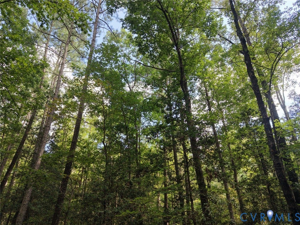 14371 N Ivey Mill Road, Chesterfield, VA 23838 Additional content