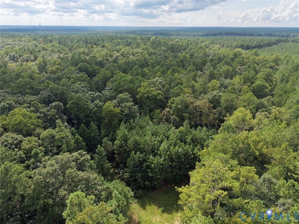 14371 N Ivey Mill Road, Chesterfield, VA 23838 Expansive tree canopy across a natural landscape