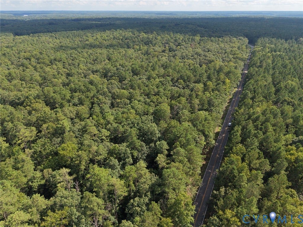 14371 N Ivey Mill Road, Chesterfield, VA 23838 Expansive forested landscape with a paved road