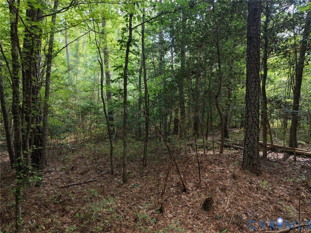 14371 N Ivey Mill Road, Chesterfield, VA 23838 Wooded lot with mature trees and natural ground cover