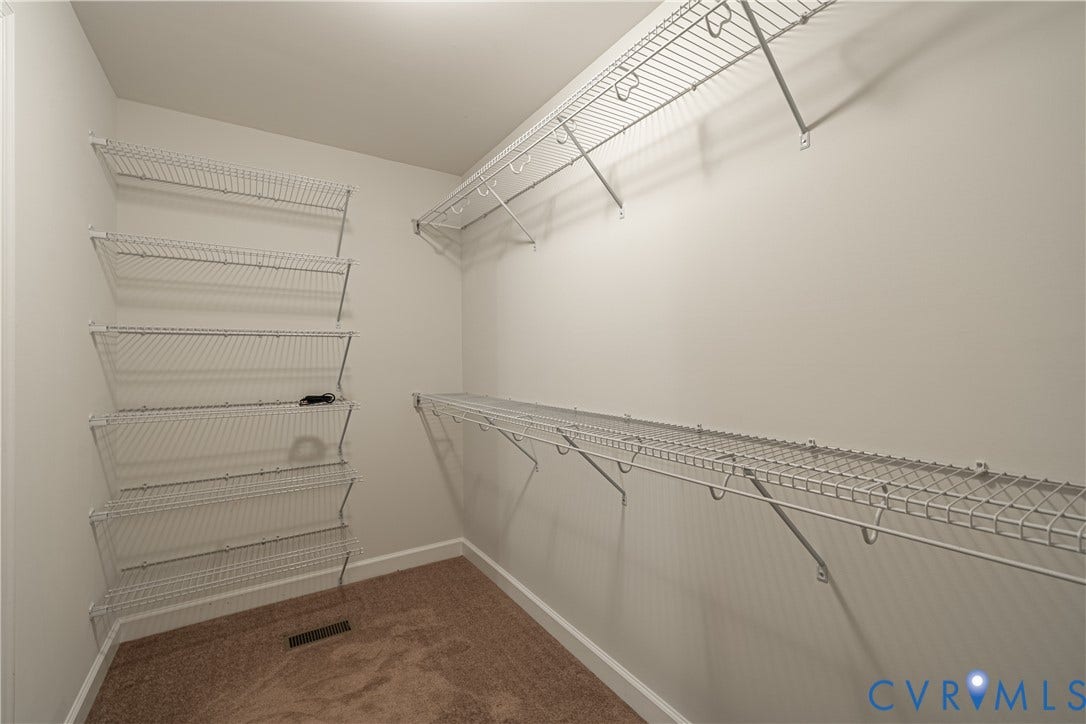 Walk-in closet featuring carpet flooring, white walls, and wire shelving