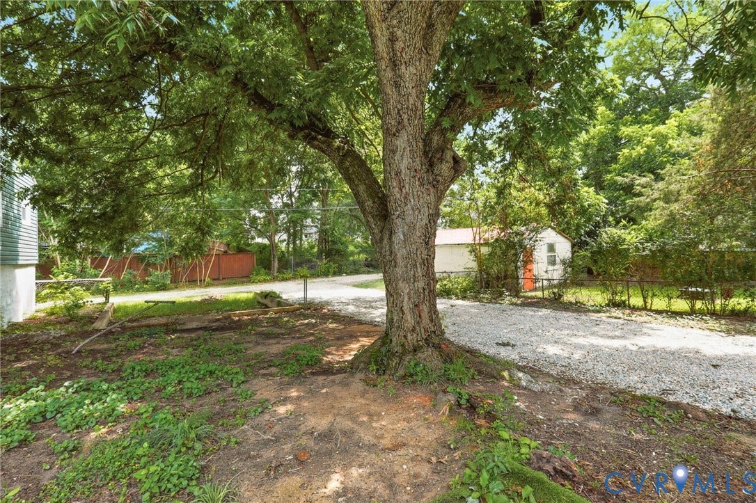 1815 Carlisle Avenue, Richmond, VA 23231 Mature tree providing natural shade, gravel driveway, and a white detached shed with an orange door