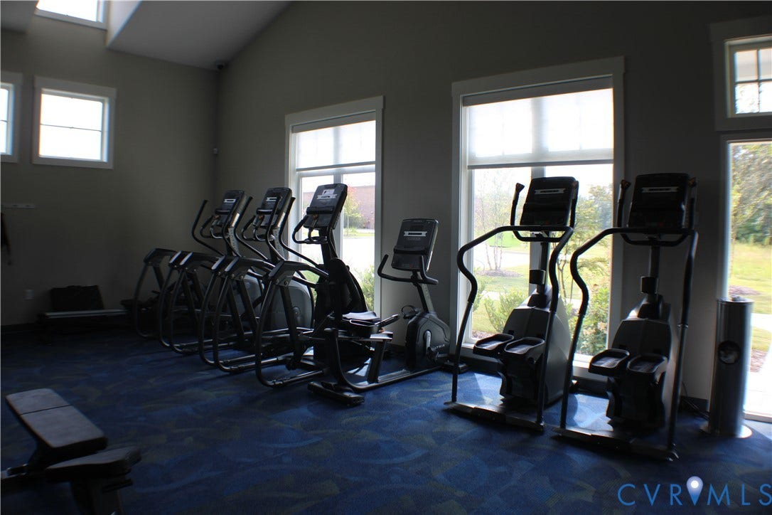 7016 Hawser Lane, Watermark, North Chesterfield, VA 23234 Varying cardio equipment, ample natural light, vaulted ceiling with skylights, and patterned carpet flooring