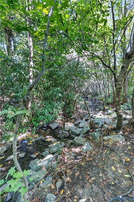 1612 Princeton Road, Bellevue, Richmond, VA 23227 1612 Princeton Road, Bellevue, Richmond, VA 23227