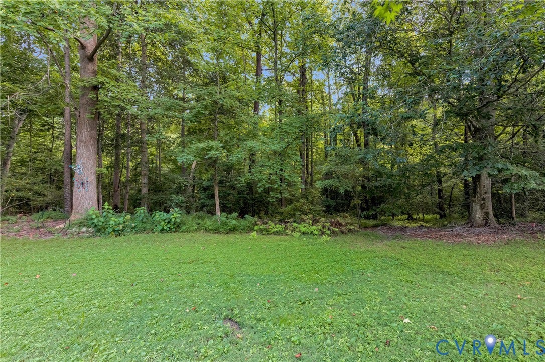 Expansive lawn area bordered by a dense canopy of mature trees