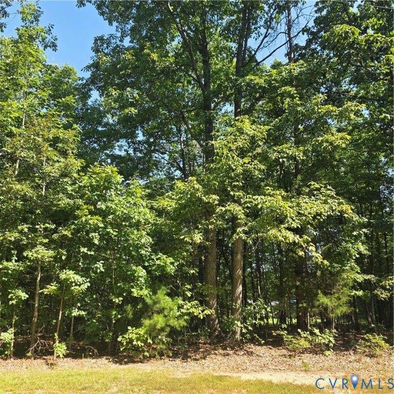 Property photo for 0 Watson Boulevard, Farmville, VA